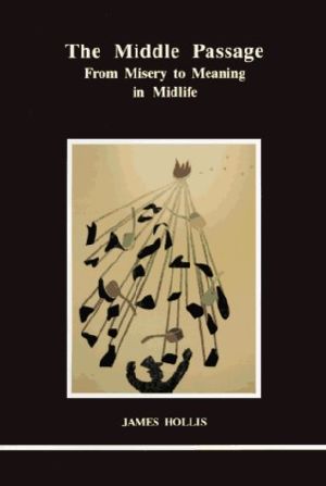 [Studies in Jungian Psychology by Jungian Analysts 59] • The Middle Passage · From Misery to Meaning in Midlife